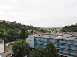 "Logenplatz auf Krems", 250000 €, Immobilien-Wohnungen in 3500 Am Steindl