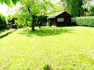WOHNBAUGRUNDSTÜCK: Grünes Paradies in Stadtnähe mit teilweiser Bebauung: 2 Garagen + Wohnwagencarport + Keller, ...., 165000 €, Immobilien-Grund und Boden in 4523 Neuzeug WOHNBAUGRUNDSTÜCK: Grünes Paradies in Stadtnähe mit teilweiser Bebauung: 2 Garagen + Wohnwagencarport + Keller, ...., 165000 €, Immobilien-Grund und Boden in 4523 Neuzeug