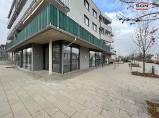 Großzügige Bürofläche anzumieten mit Stundungsvariante, 995.54 €, Immobilien-Gewerbeobjekte in 1210 Floridsdorf