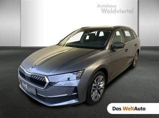 Octavia Selection TDI DSG, 41450 €, Auto & Fahrrad-Autos in 3580 Gemeinde Horn Octavia Selection TDI DSG, 41450 €, Auto & Fahrrad-Autos in 3580 Gemeinde Horn