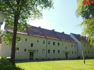 Stadtliebhaber aufgepasst: Urbanes Wohnen mit Top-Infrastruktur in naturnahem Umfeld! Saniert, preiswert und sofort verfügbar!, 442.95 €, Immobilien-Wohnungen in 4400 Steyr Stadtliebhaber aufgepasst: Urbanes Wohnen mit Top-Infrastruktur in naturnahem Umfeld! Saniert, preiswert und sofort verfügbar!, 442.95 €, Immobilien-Wohnungen in 4400 Steyr