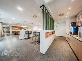 Vielseitig nuzbare Büro und Werkstattflächen - fleksibel teilbar in Gerasdorf bei Wien, 25600 €, Immobilien-Gewerbeobjekte in 2201 Gerasdorf bei Wien Vielseitig nuzbare Büro und Werkstattflächen - fleksibel teilbar in Gerasdorf bei Wien, 25600 €, Immobilien-Gewerbeobjekte in 2201 Gerasdorf bei Wien