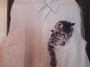 SCHNURRDIBURLI SUCHT EIN FRAUCHEN !! SCHNURRDIBURLI SUCHT EIN FRAUCHEN !!