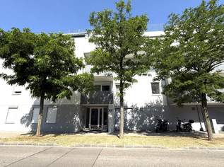 COMING SOON: Loftartige DG-TERRASSENWOHNUNG mit 30,71m² Terrasse nahe Akademiepark, 895 €, Immobilien-Wohnungen in Niederösterreich