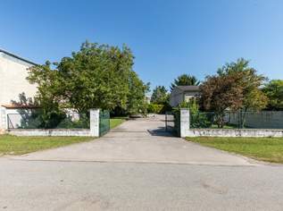 Vielseitiges Anwesen mit Wohn- und Geschäftshaus, Nebengebäuden & großzügigem Garten, 669000 €, Immobilien-Häuser in 2472 Gemeinde Prellenkirchen Vielseitiges Anwesen mit Wohn- und Geschäftshaus, Nebengebäuden & großzügigem Garten, 669000 €, Immobilien-Häuser in 2472 Gemeinde Prellenkirchen