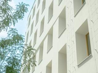 ROBIN Seestadt - Innovative Büroflächen in Wiens modernstem Stadtquartier, 2295.2 €, Immobilien-Gewerbeobjekte in 1220 Donaustadt