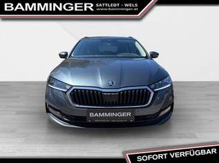 Octavia Combi 2,0 TDI Business DSG ''8fach bereift'', 16390 €, Auto & Fahrrad-Autos in 4642 Sattledt Octavia Combi 2,0 TDI Business DSG ''8fach bereift'', 16390 €, Auto & Fahrrad-Autos in 4642 Sattledt