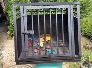 Hundebox Auto , 300 €, Marktplatz-Tiere & Tierbedarf in 9220 Velden am Wörther See