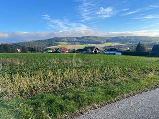 GROSSZÜGIGES GRUNDSTÜCK, 0 €, Immobilien-Grund und Boden in 3443 Sieghartskirchen