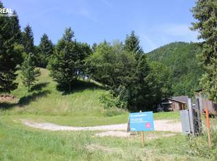 Familienidylle & Bauträgerchance, 137280 €, Immobilien-Grund und Boden in 3264 Schadneramt Familienidylle & Bauträgerchance, 137280 €, Immobilien-Grund und Boden in 3264 Schadneramt