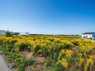 Mehrgenerationen Wohnbauprojekt - vor den Toren Wiens, 0 €, Immobilien-Grund und Boden in 2201 Gerasdorf bei Wien