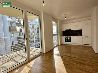 Lichtdurchflutete 1-Zimmer Wohnung in 1220 Wien - ab 01.08.2025 verfügbar!, 725 €, Immobilien-Wohnungen in 1220 Donaustadt