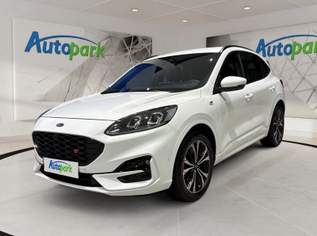 Kuga 2,0 EcoBlue AWD ST-Line X Aut., 26990 €, Auto & Fahrrad-Autos in 6020 Innsbruck Kuga 2,0 EcoBlue AWD ST-Line X Aut., 26990 €, Auto & Fahrrad-Autos in 6020 Innsbruck