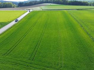 Hochwertiger Acker unweit von Artstetten und Unterbierbaum, 70945 €, Immobilien-Grund und Boden in 3661 Artstetten