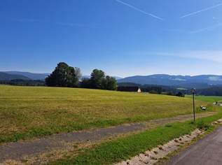 Rarität: Wunderschönes Grundstück mit eigenen Quellenanteil in Wenigzell zu verkaufen! Rarität: Wunderschönes Grundstück mit eigenen Quellenanteil in Wenigzell zu verkaufen!