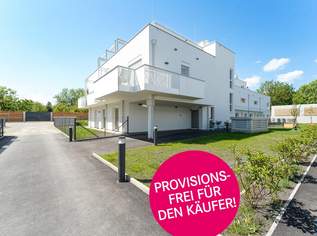 Exklusive Vorsorgewohnungen mit Weitblick - THE VINEYARD, 385355 €, Immobilien-Wohnungen in 2344 Gemeinde Maria Enzersdorf