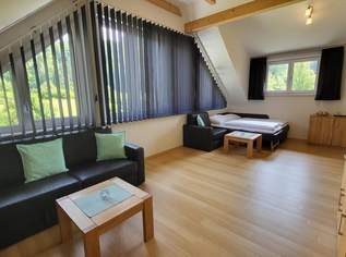 Bad Aussee/ Altaussee: Penthousewohnung ***Winter Preisreduktion***, 0 €, Immobilien-Wohnungen in 8990 Bad Aussee