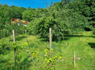 AN DER SONNENSEITE AM WALDRAND!, 235000 €, Immobilien-Grund und Boden in 3021 Pressbaum AN DER SONNENSEITE AM WALDRAND!, 235000 €, Immobilien-Grund und Boden in 3021 Pressbaum