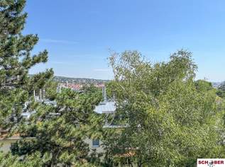 Herrlicher Grünblick in Toplage - 3. OG ohne Lift, 199000 €, Immobilien-Wohnungen in 1130 Hietzing