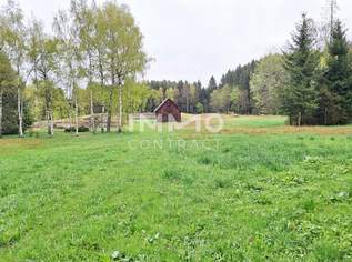 Großes Grundstück mit Fischteich und Badeteich, Erholungsanlage, Freizeitparadies mit viel Potenzial, 280000 €, Immobilien-Grund und Boden in 3632 Bad Traunstein