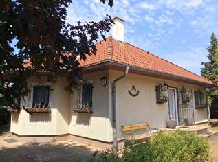 ''Komfortabel ausgestatteter Bungalow mit parkähnlichem Garten'', 473000 €, Immobilien-Häuser in 2231 Strasshof an der Nordbahn ''Komfortabel ausgestatteter Bungalow mit parkähnlichem Garten'', 473000 €, Immobilien-Häuser in 2231 Strasshof an der Nordbahn