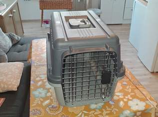 Katzenzubehör, 28 €, Marktplatz-Tiere & Tierbedarf in 4600 Wels Katzenzubehör, 28 €, Marktplatz-Tiere & Tierbedarf in 4600 Wels