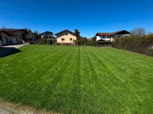 TOP-LAGE: Sonniges, ruhiges Baugrundstück – ideal für Ein- oder Mehrfamilienhaus!, 0 €, Immobilien-Grund und Boden in 5111 Bürmoos TOP-LAGE: Sonniges, ruhiges Baugrundstück – ideal für Ein- oder Mehrfamilienhaus!, 0 €, Immobilien-Grund und Boden in 5111 Bürmoos