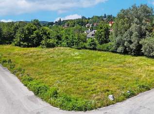 Betriebsbaugrund im Ortszentrum Pressbaum/Tullnerbach, 890000 €, Immobilien-Gewerbeobjekte in Niederösterreich