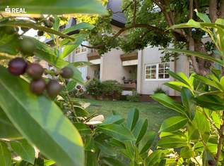 Helle, südseitig ausgerichtete SINGLE-/ PÄRCHENWOHNUNG mit LOGGIA und GARTEN, 850 €, Immobilien-Wohnungen in 2380 Gemeinde Perchtoldsdorf Helle, südseitig ausgerichtete SINGLE-/ PÄRCHENWOHNUNG mit LOGGIA und GARTEN, 850 €, Immobilien-Wohnungen in 2380 Gemeinde Perchtoldsdorf