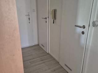 Nachmieter Gesucht für eine 2 Zimmer Wohnung mit extra Küche Nachmieter Gesucht für eine 2 Zimmer Wohnung mit extra Küche