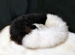 Anti-Stress Haustierbett aus echtem Lammfell Kuschelkomfort für Hund & Katze Anti-Stress Haustierbett aus echtem Lammfell Kuschelkomfort für Hund & Katze