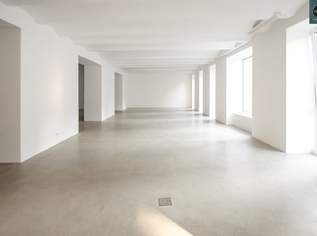 Loft in bester Hoflage der Brotfabrik Wien!, 13 €, Immobilien-Gewerbeobjekte in 1100 Favoriten
