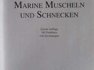 Muscheln und Schnecken