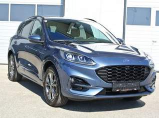 Kuga 2.5 Duratec FHEV Hybrid 4WD Aut.** ST-Line * AHK, 22490 €, Auto & Fahrrad-Autos in 4693 Desselbrunn