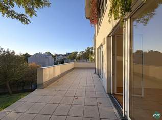 Viel Platz, viel Grün: 140 m² und 56 m² Terrasse nahe Türkenschanzpark, 3407.41 €, Immobilien-Wohnungen in 1180 Währing Viel Platz, viel Grün: 140 m² und 56 m² Terrasse nahe Türkenschanzpark, 3407.41 €, Immobilien-Wohnungen in 1180 Währing