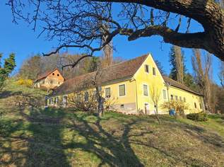 ALLEINLAGE: Sanierungsbedürftiger Vierkanthof mit ca. 17ha Land zu verkaufen, 461345 €, Immobilien-Gewerbeobjekte in 8280 Fürstenfeld