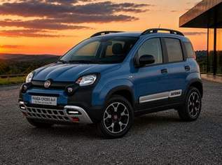 Panda Cross 4x4, 21990 €, Auto & Fahrrad-Autos in 6068 Gemeinde Mils