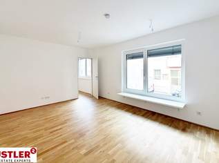 Stilvolle 2-Zimmer-Eigentumswohnung mit hochwertiger Ausstattung, 235000 €, Immobilien-Wohnungen in 1230 Liesing Stilvolle 2-Zimmer-Eigentumswohnung mit hochwertiger Ausstattung, 235000 €, Immobilien-Wohnungen in 1230 Liesing