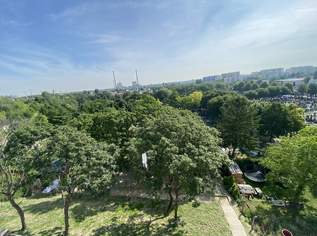 U3 ERSTBEZUG Top Anlage Dachwohnung 2 Zimmer + Terrasse =DAS LAURENZ= 1 bedroom apartment+terrace, 316688 €, Immobilien-Wohnungen in 1110 Simmering