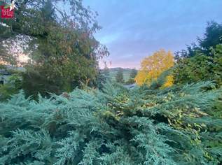 Baugrund in Klosterneuburg – Weidling 1.793 m² Grundstücksfläche | Altbestand vorhanden | teilbar !!, 0 €, Immobilien-Grund und Boden in 3400 Weidling