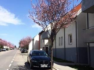 2-Zimmer Balkonwohnung in Leopoldsdorf bei Wien, 735.96 €, Immobilien-Wohnungen in 2333 Gemeinde Leopoldsdorf 2-Zimmer Balkonwohnung in Leopoldsdorf bei Wien, 735.96 €, Immobilien-Wohnungen in 2333 Gemeinde Leopoldsdorf