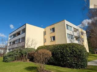 ERSTBEZUG-1-Zi-Whg mit großer Loggia und großem Kellerabteil, 750 €, Immobilien-Wohnungen in 2500 Gemeinde Baden ERSTBEZUG-1-Zi-Whg mit großer Loggia und großem Kellerabteil, 750 €, Immobilien-Wohnungen in 2500 Gemeinde Baden