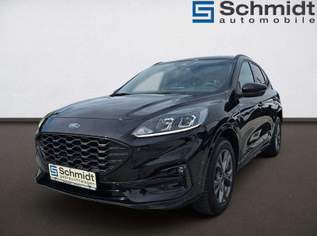 Kuga ST-Line 2,0 Eblue 120PS A8 AWD, 32890 €, Auto & Fahrrad-Autos in 5580 Tamsweg