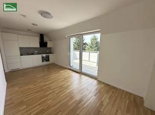Wohnen im Grünen! Klimatisierte Wohnung mit Weitblick und großer Terrasse in Essling! Lobau und Kirschenallee ums Eck!, 900 €, Immobilien-Wohnungen in 1220 Donaustadt