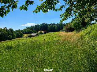 Weitläufiges Grundstück (über 8.500 m²) - Bauland mit großzügiger Grünlandfläche in Olbendorf!, 55000 €, Immobilien-Grund und Boden in 7534 Olbendorf Weitläufiges Grundstück (über 8.500 m²) - Bauland mit großzügiger Grünlandfläche in Olbendorf!, 55000 €, Immobilien-Grund und Boden in 7534 Olbendorf