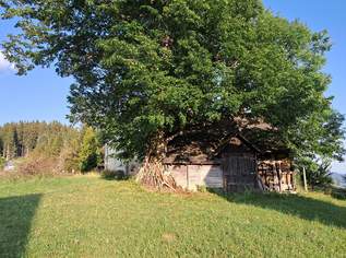 Almhütte auf der Gleinalm beim Krautwasch Almhütte auf der Gleinalm beim Krautwasch