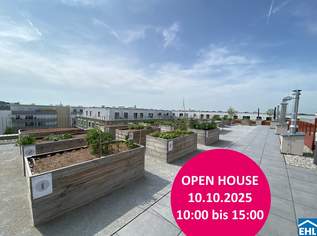 Ihr Wohnglück wartet: Moderne Mietwohnungen im Tullnerfeld, 1625 €, Immobilien-Wohnungen in 3441 Pixendorf