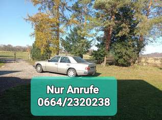 Oldtimer Mercedes Benz E200 W124 , 2300 €, Auto & Fahrrad-Teile & Zubehör in 3251 Gemeinde Purgstall an der Erlauf