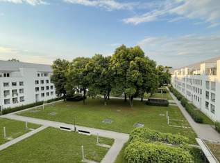 Kleine 3-Raum-Dachgeschosswohnung mit großer Terrasse(15 m²) in Linz/Bindermichl! ACHTUNG Wohnung befindet sich noch in Sanierung! Bezug mit 01. Juli 2026!, 762.39 €, Immobilien-Wohnungen in Oberösterreich Kleine 3-Raum-Dachgeschosswohnung mit großer Terrasse(15 m²) in Linz/Bindermichl! ACHTUNG Wohnung befindet sich noch in Sanierung! Bezug mit 01. Juli 2026!, 762.39 €, Immobilien-Wohnungen in Oberösterreich