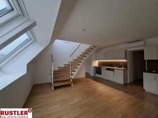 2 Stöckig - unbefristet - Dachterrasse, 1967.74 €, Immobilien-Wohnungen in 1020 Leopoldstadt